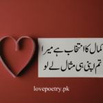 Short Heartfelt Quotes That Touch the Heart in Urdu