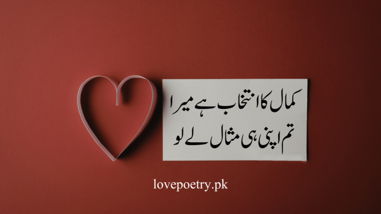 Short Heartfelt Quotes That Touch the Heart in Urdu